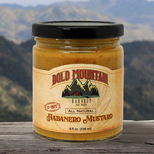 Load image into Gallery viewer, An 8-ounce jar of Habanero Mustard from Bold Mountain Harvest. The mustard is labeled x-hot and is shown in front of a view of mountains.
